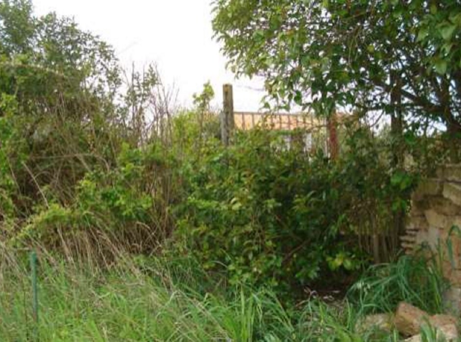 Immagine di CAPANNONE VIA LINOSA – APRILIA, (LT)