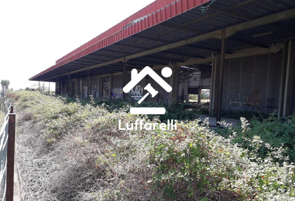 Immagine di CAPANNONE / IMMOBILI INDUSTRIALI C/DA CITTADINO – SCORDIA