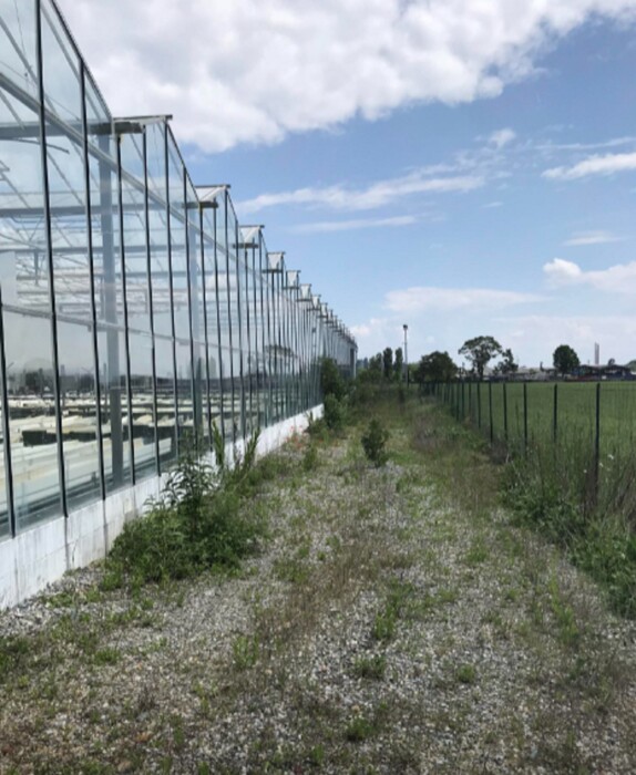 Immagine di TERRENO VIA UNITA’ D’ITALIA – GRAGLIASCO (TO)