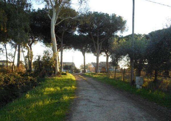 NEGOZIO O LOCALE COMMERCIALE VIA LITORANEA - LATINA — foto 5