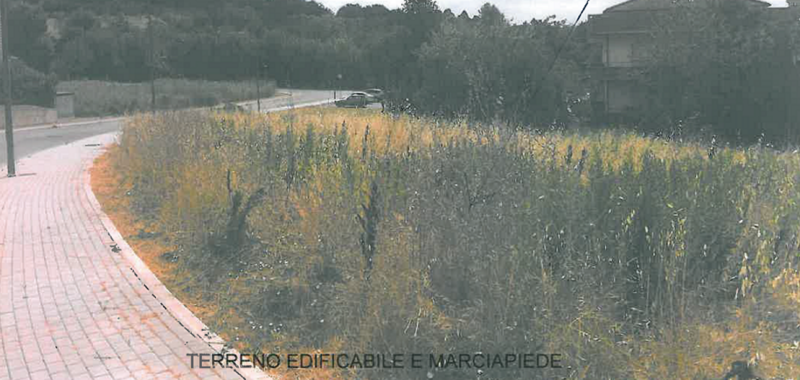 Immagine di TERENO, VIALE CAIROLI, GABICCE MARE (PU)