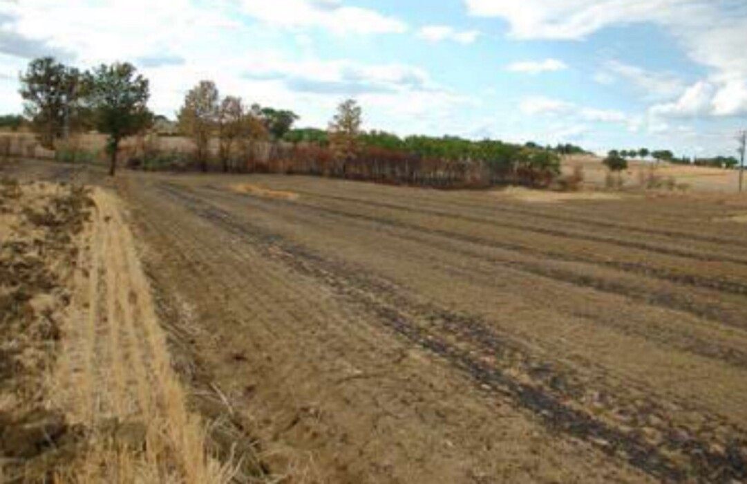 Immagine di TERRENI FRAZIONE SAN BIAGIO DELLA VALLE – MARSCIANO (PG)