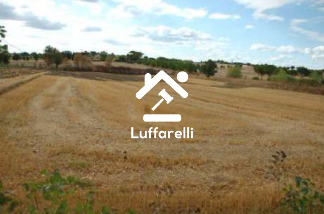 Immagine di TERRENI FRAZIONE SAN BIAGIO DELLA VALLE – MARSCIANO (PG)