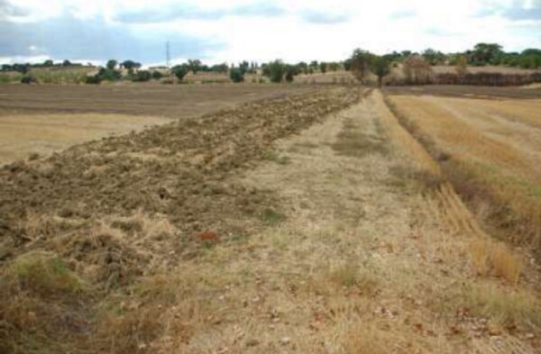 TERRENI FRAZIONE SAN BIAGIO DELLA VALLE - MARSCIANO (PG) — foto 5