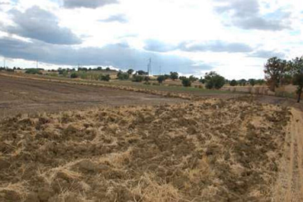 Immagine di TERRENI FRAZIONE SAN BIAGIO DELLA VALLE – MARSCIANO (PG)