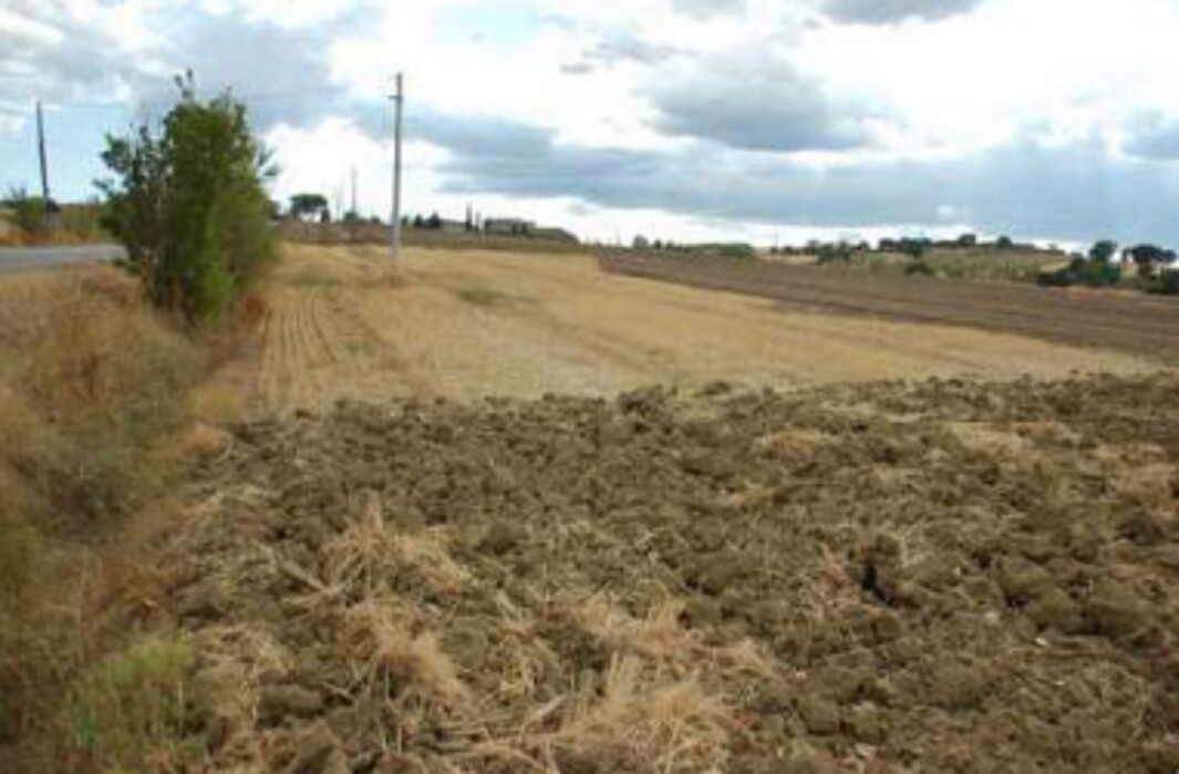 Immagine di TERRENI FRAZIONE SAN BIAGIO DELLA VALLE – MARSCIANO (PG)