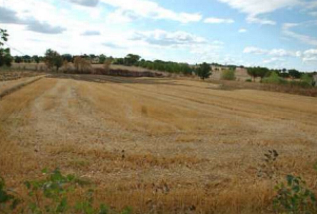Immagine di TERRENI FRAZIONE SAN BIAGIO DELLA VALLE – MARSCIANO (PG)