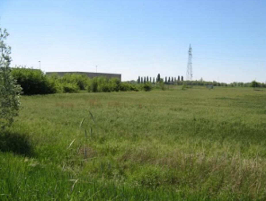 Immagine di TERRENO EDIFICABILE, VIA UGO FOSCOLO, GOITO (MN)