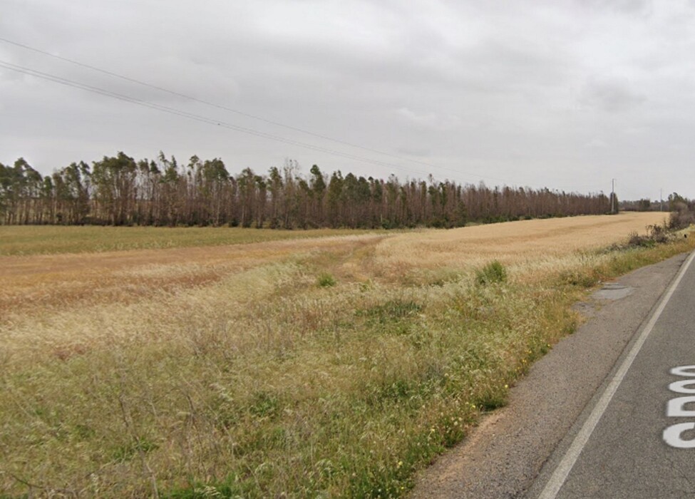 Immagine di TERRENO EDIFICABILI SP VILLASPECIOSA (SU)