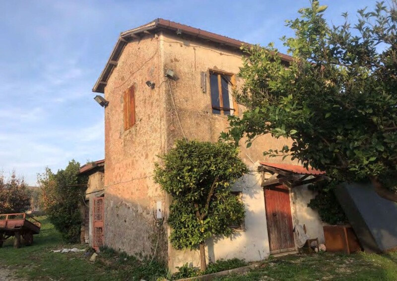 Immagine di FABBRIC. AGRICOLO, VIA COLLE ZIONI 36, VELLETRI,RM