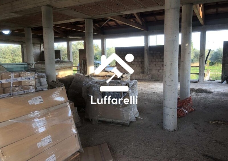 Immagine di FABBRIC. AGRICOLO, VIA COLLE ZIONI 36, VELLETRI,RM