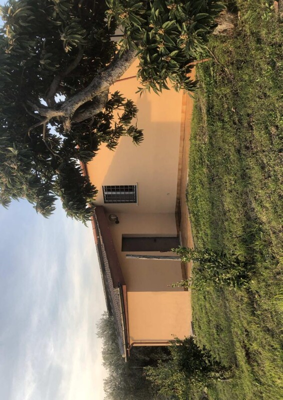 Immagine di FABBR. AGRICOLO, VIA COLLE ZIONI 34, VELLETRI, RM