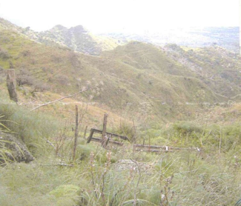 Immagine di TERRENO C.DA PETRARO – CASTELMOLA