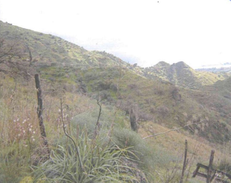 Immagine di TERRENO C.DA PETRARO – CASTELMOLA