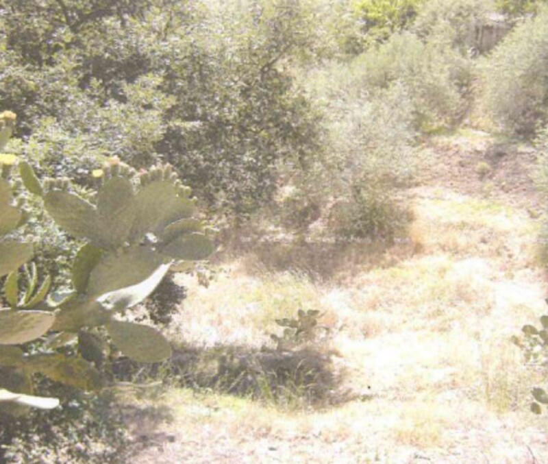 Immagine di TERRENO C.DA PETRARO – CASTELMOLA