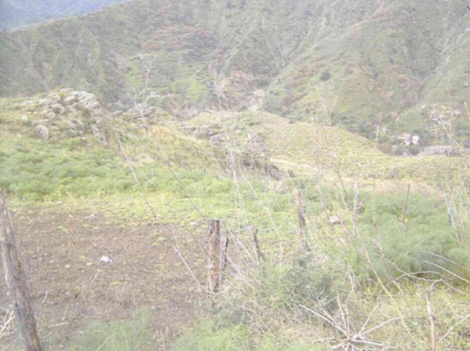 Immagine di TERRENO C.DA PETRARO – CASTELMOLA