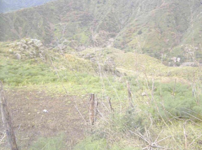Immagine di TERRENO C.DA PETRARO – CASTELMOLA