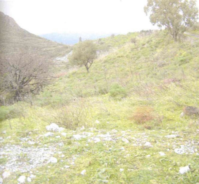 Immagine di TERRENO C.DA PETRARO – CASTELMOLA