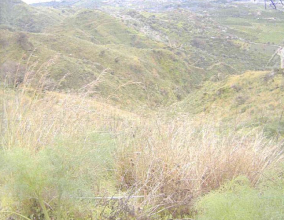 Immagine di TERRENO C.DA PETRARO – CASTELMOLA