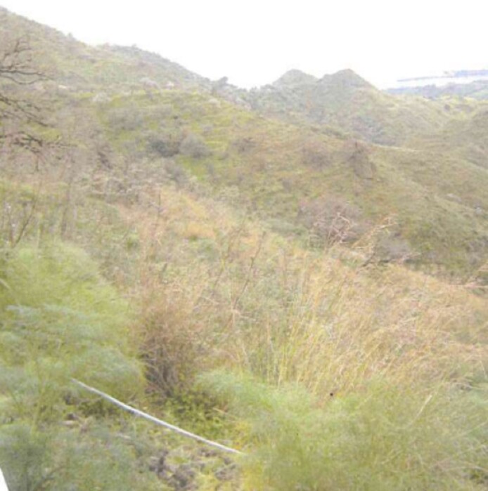 Immagine di TERRENO C.DA PETRARO – CASTELMOLA