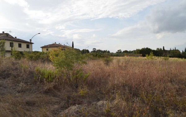 TERRENO VIA DELLE SALLE/VIA DELL' AIA - PIENZA — foto 4