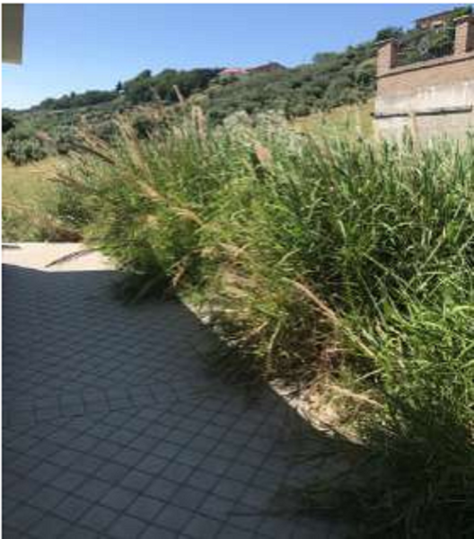 CASA / VILLA VIA FRANCO ALFANO - ASCOLI PICENO — foto 8