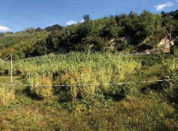 TERRENO VIA MONTEROCCO - ASCOLI PICENO — foto 2