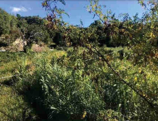 TERRENO VIA MONTEROCCO - ASCOLI PICENO — foto 3