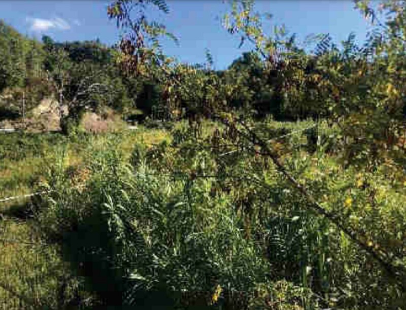 Immagine di TERRENO VIA MONTEROCCO – ASCOLI PICENO