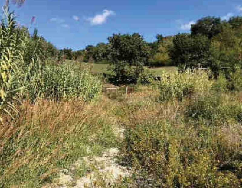 Immagine di TERRENO VIA MONTEROCCO – ASCOLI PICENO