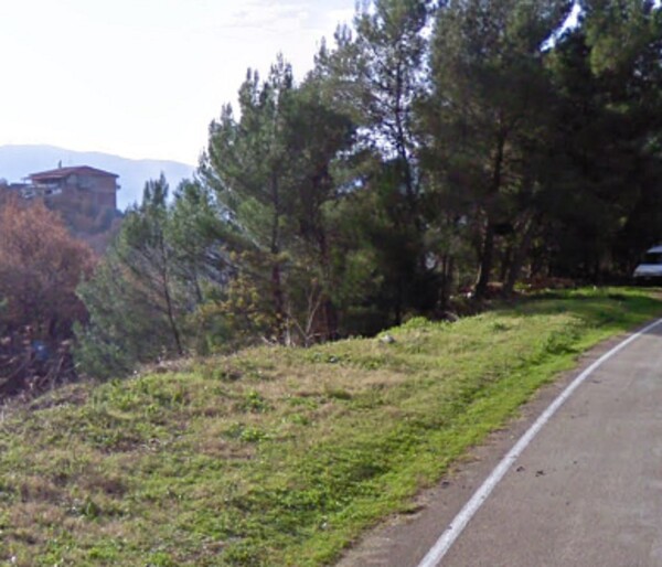 AZIENDA AGRICOLA CONTRADA SERRACCHIO CASTELCIVITA  (SA) — foto 6