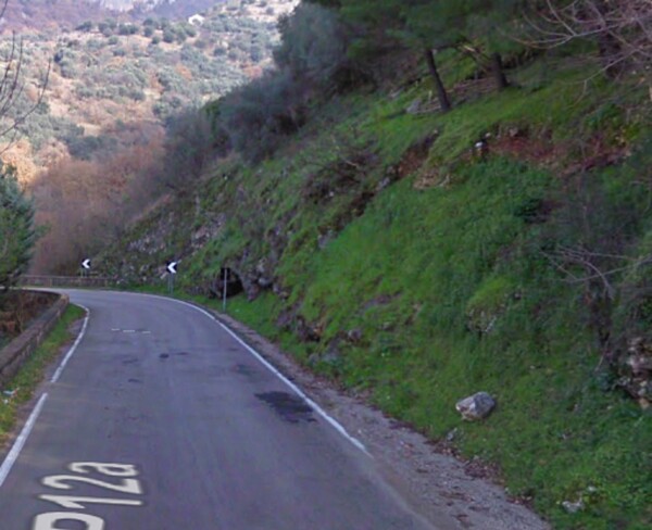 AZIENDA AGRICOLA CONTRADA SERRACCHIO CASTELCIVITA  (SA) — foto 3