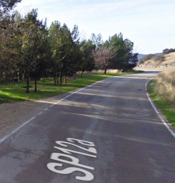 AZIENDA AGRICOLA CONTRADA SERRACCHIO CASTELCIVITA  (SA) — foto 7