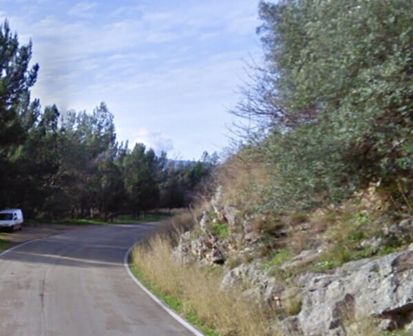 AZIENDA AGRICOLA CONTRADA SERRACCHIO CASTELCIVITA  (SA) — foto 9