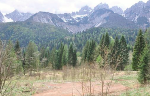 NEGOZIO O LOCALE COMMERCIALE LOCALITÀ MAURIA - FORNI DI SOPRA — foto 9
