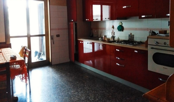 DEPOSITO / MAGAZZINO VIA DEI PORCINI - SCURCOLA MARSICANA — foto 9