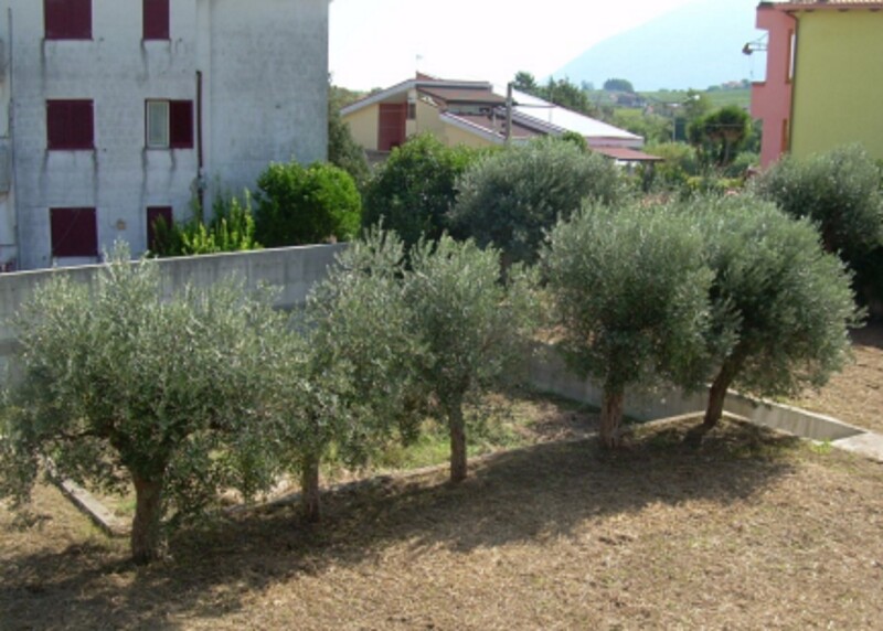 Immagine di FABBRICATO VIA CASELLE CASTELVENERE (BN)