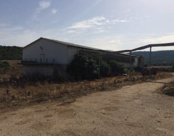 STRUTTURE AGRICOLE LOCALITA CAMPANEDDA - SASSARI — foto 5