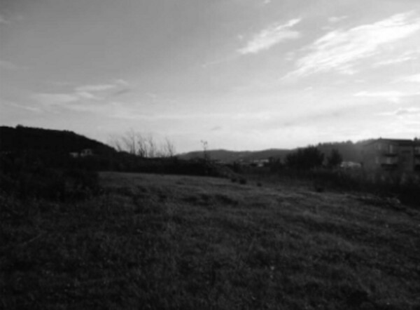 TERRENO LOCALITÀ CAMPAGNELLA - CATANZARO — foto 4