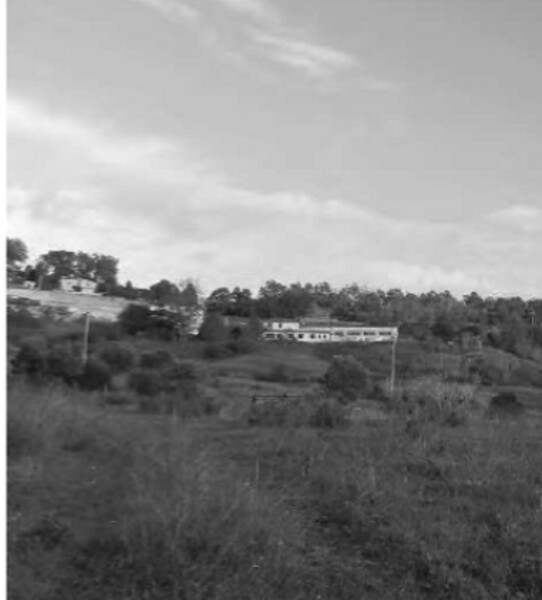 TERRENO LOCALITÀ CAMPAGNELLA - CATANZARO — foto 3