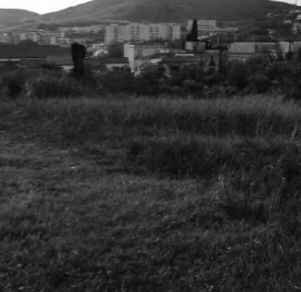 TERRENO LOCALITÀ CAMPAGNELLA - CATANZARO — foto 8