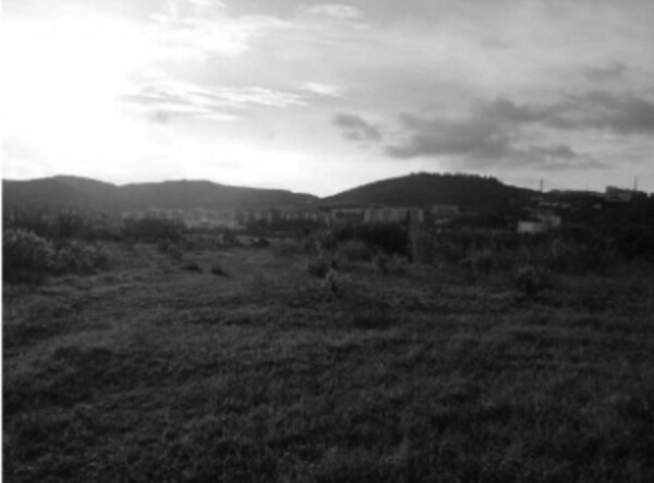 TERRENO LOCALITÀ CAMPAGNELLA - CATANZARO — foto 6