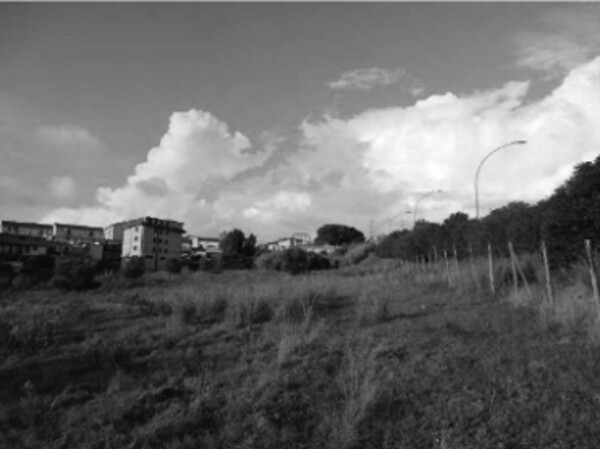 TERRENO LOCALITÀ CAMPAGNELLA - CATANZARO — foto 2