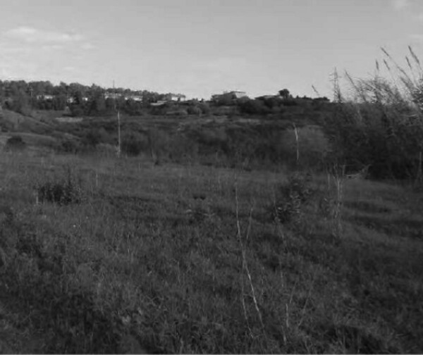 TERRENO LOCALITÀ CAMPAGNELLA - CATANZARO — foto 9