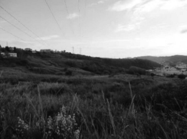 TERRENO LOCALITÀ CAMPAGNELLA - CATANZARO — foto 5