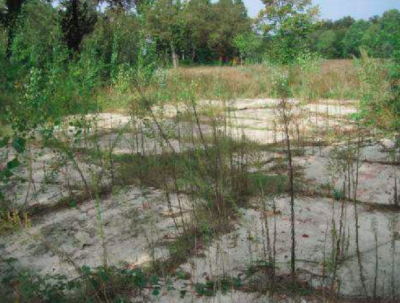 Immagine di COMPLESSO PER PARCO DIVERTIMENTI VIA DEL LAGHETTO – LIMBIATE (MB)