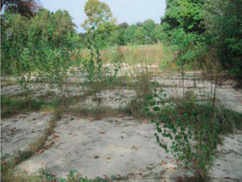 Immagine di COMPLESSO PER PARCO DIVERTIMENTI VIA DEL LAGHETTO – LIMBIATE (MB)