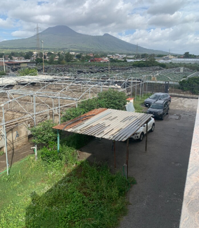 Immagine di APPARTAMENTO VIA CIMITERO – BOSCOREALE