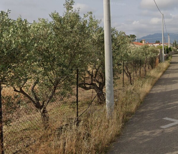 TERRENO LOC. “CAMPU BRIAXIU” - PULA — foto 2
