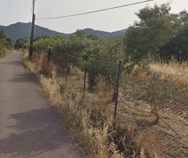 TERRENO LOC. “CAMPU BRIAXIU” - PULA — foto 6